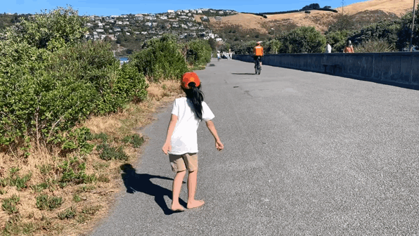 在新西兰就是这么奇怪,不但沙滩上,就是大街上,超市里到处都能看见光