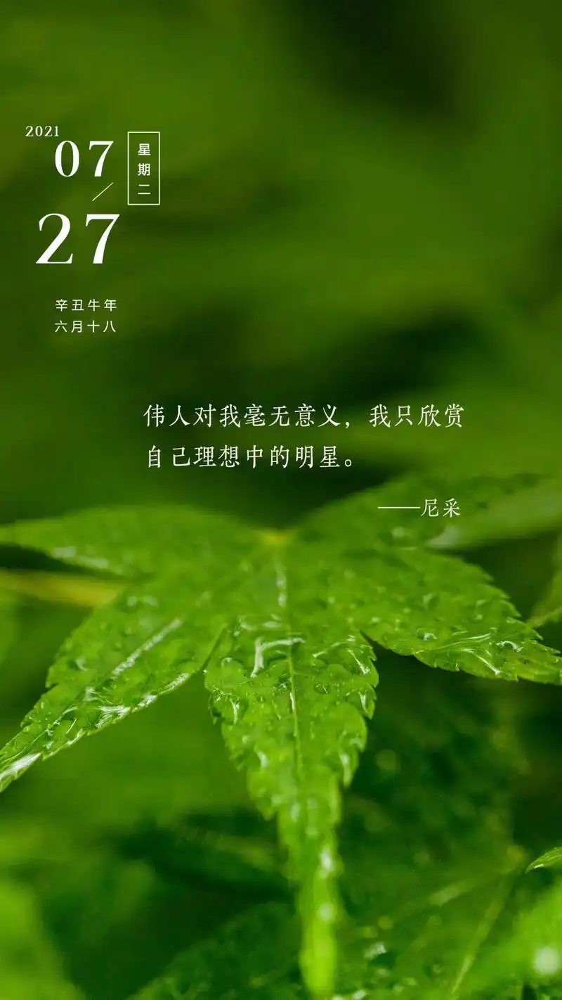 早起发朋友圈激励人向上的图片句子想都是问题做都是答案