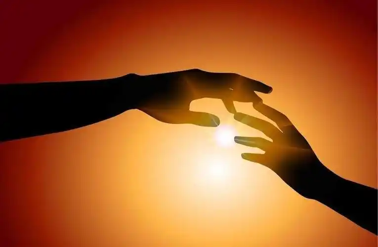 那是它穿过黎明的黑暗,它代表着美好,光明 ,充满希望做一朵太阳花