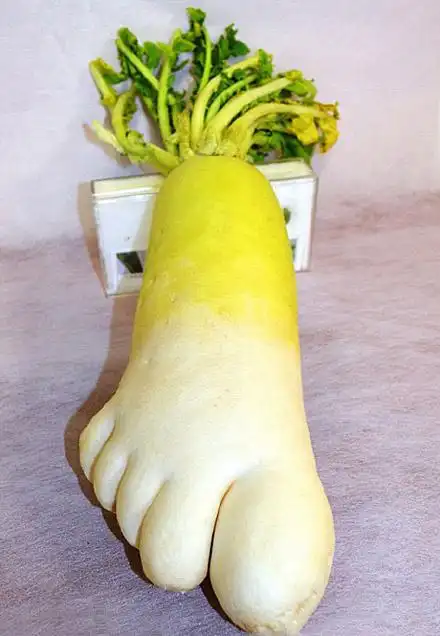 搞笑趣味图片大全 超搞笑恶趣味图片大全