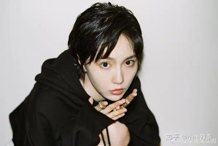 爱情公寓5诸葛大力的扮演者成果会火吗