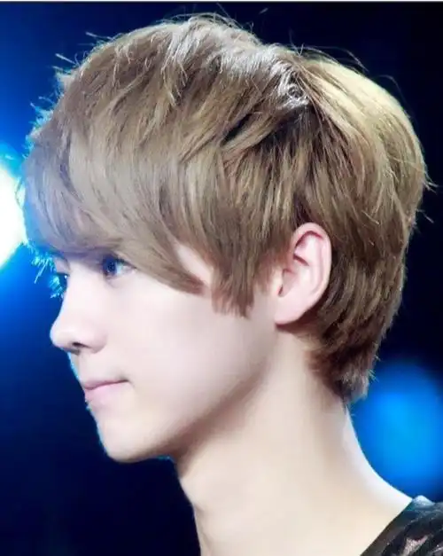 鹿晗的鼻子是蒜头鼻么