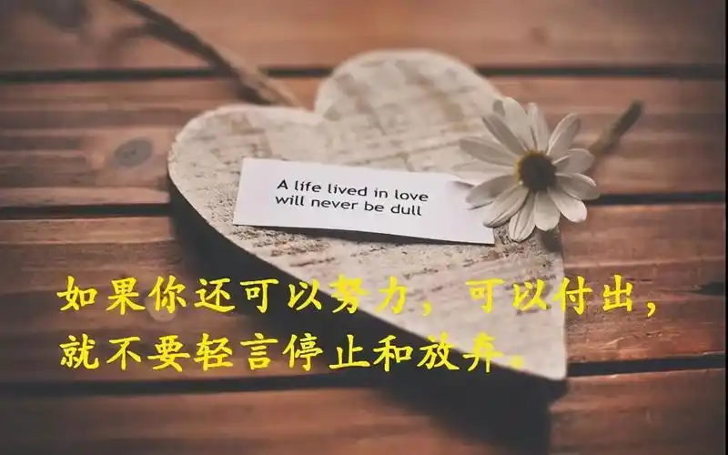 走心的文案高质量的短句:简短有深意的文案 - 唯美句子- 不二励志语录