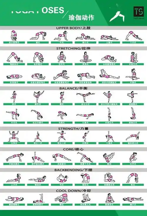 体能训练动作库图解大全