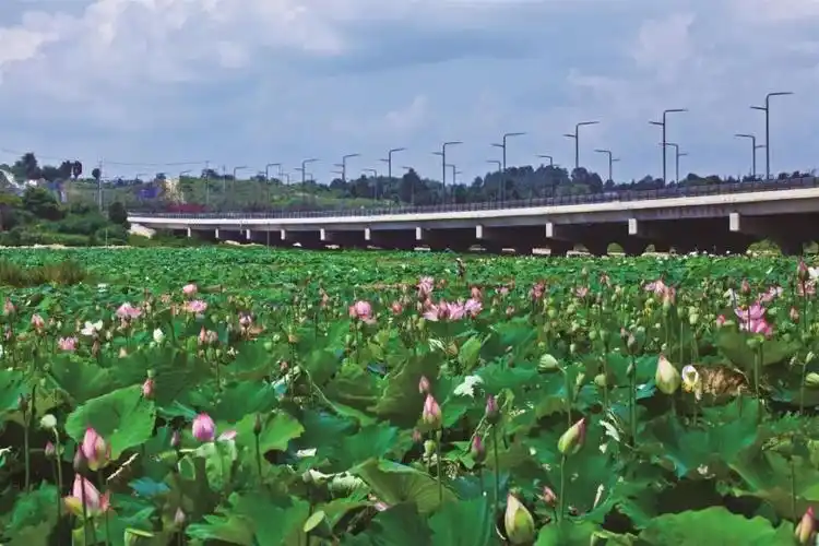 星月湖毗邻月亮湖,整个公园细细长长,沿用贵阳"一半山水一半城"的格局