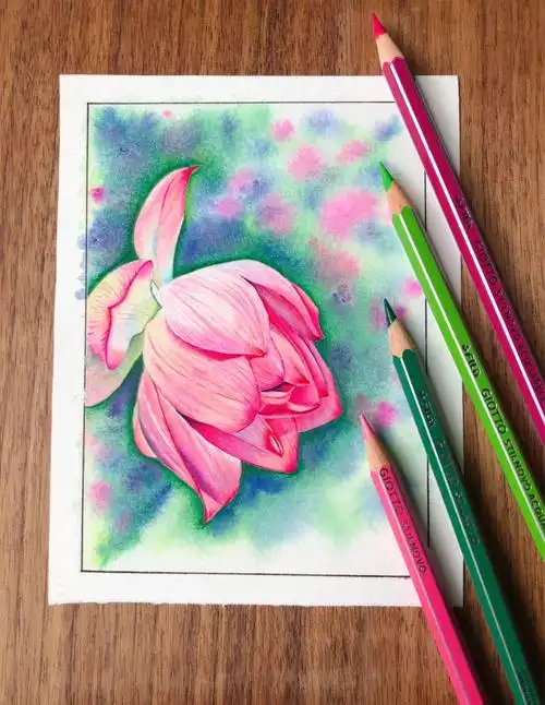 工具介绍:获多福细纹水彩纸齐多24色水溶77油性彩铅简约过程:166