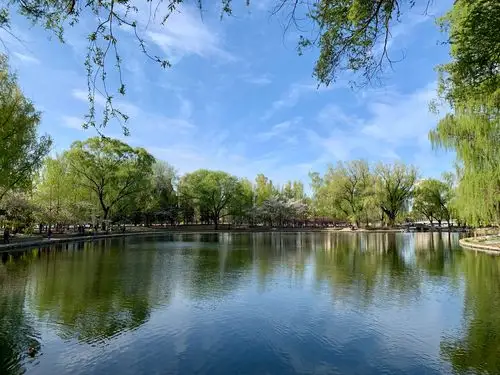 春天的色彩@樱花@杨柳@海棠花 - 大艾斯 - 图虫