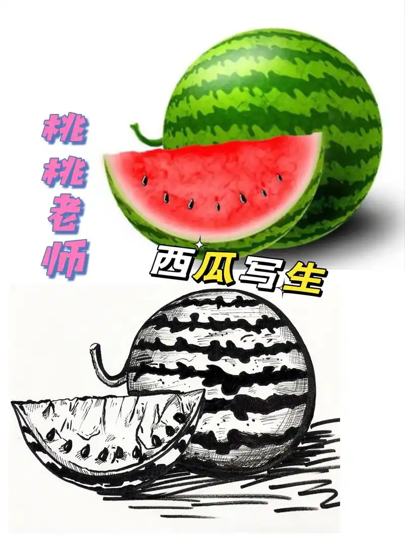 美术线描大西瓜