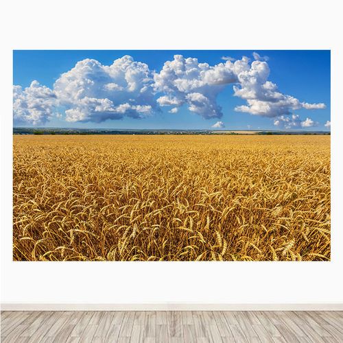 田园风光黄金麦田客厅装饰画丰收成熟大麦田地餐厅墙贴画自粘壁画