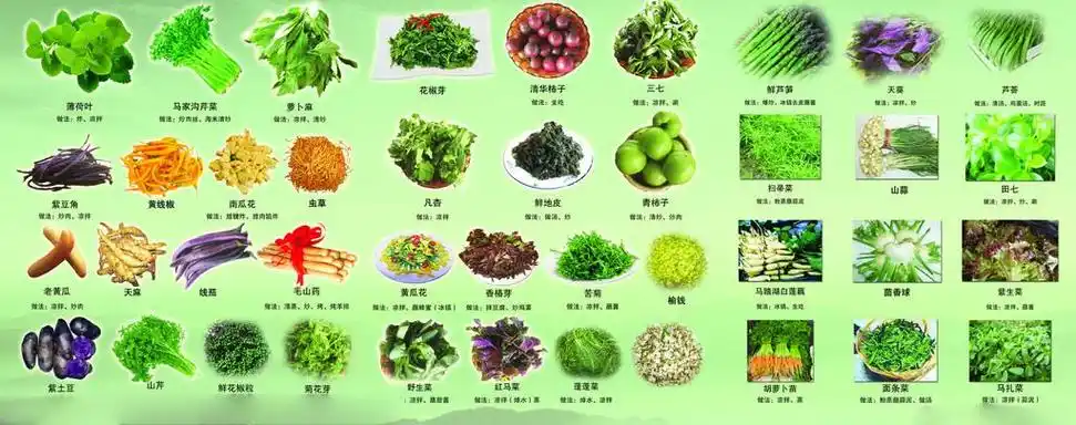 蔬菜名称大全500种(有哪些常见的根茎类蔬菜)-问答屋