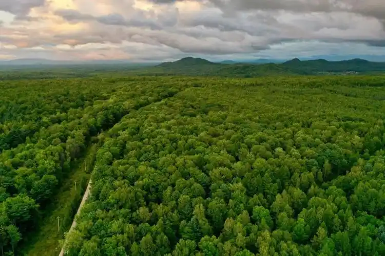 在长白山感受22清凉漫步森林氧吧园区撸鹿邂逅醉美天池