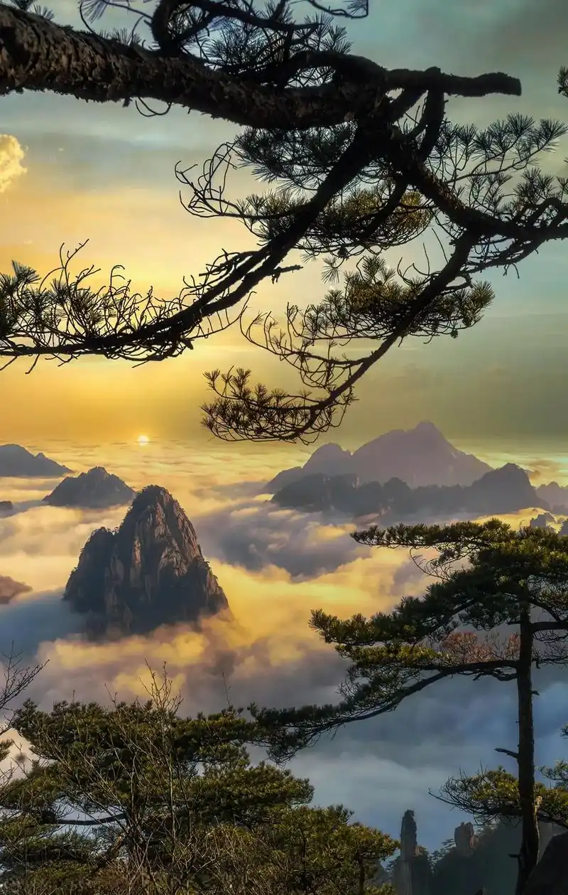 中国八大名山,你去过哪几个?#大自然的鬼斧神工 #旅行大玩家 - 抖音