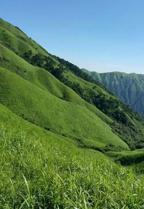 高山草甸 人间天堂 - 美篇