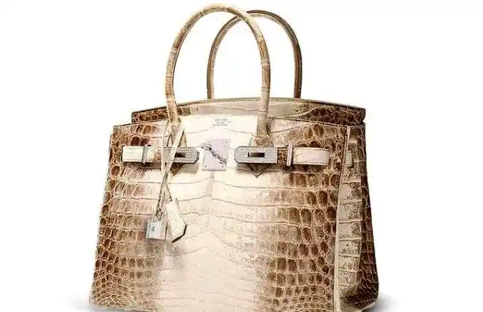世界十大最昂贵手袋 爱马仕镶钻喜马拉雅铂金包仅排第二