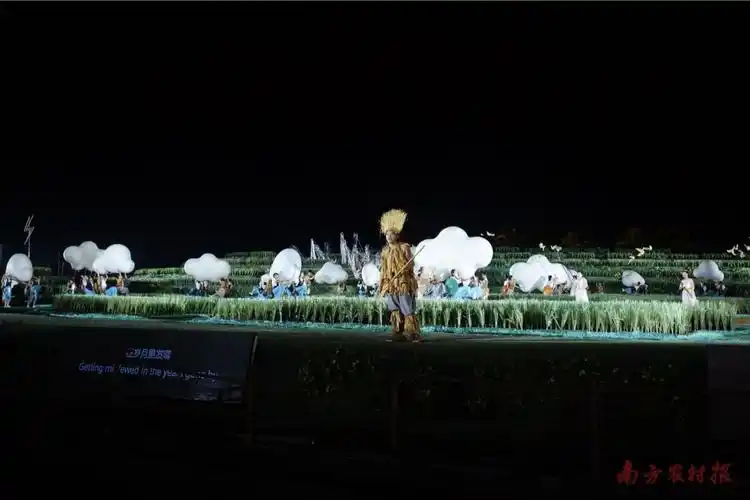 稻田大剧 田野狂欢丨原来水稻还能这么玩?