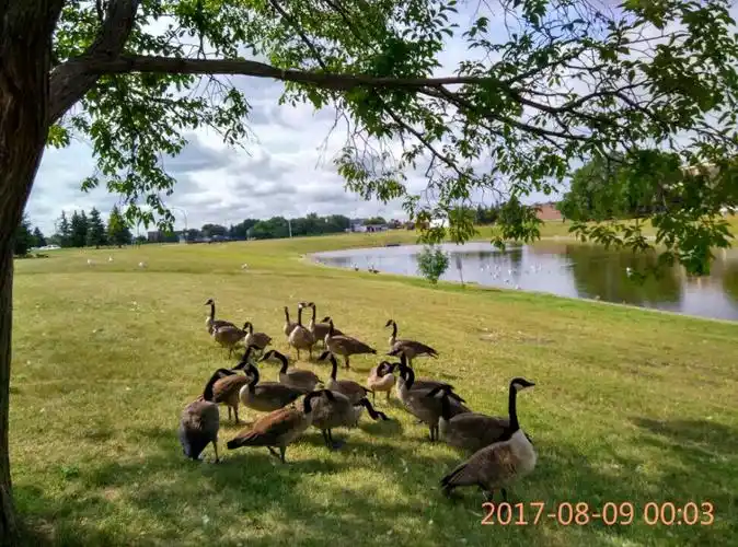 在加拿大的日子