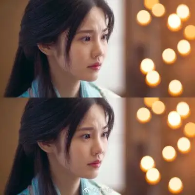 凤囚凰.新蔡公主