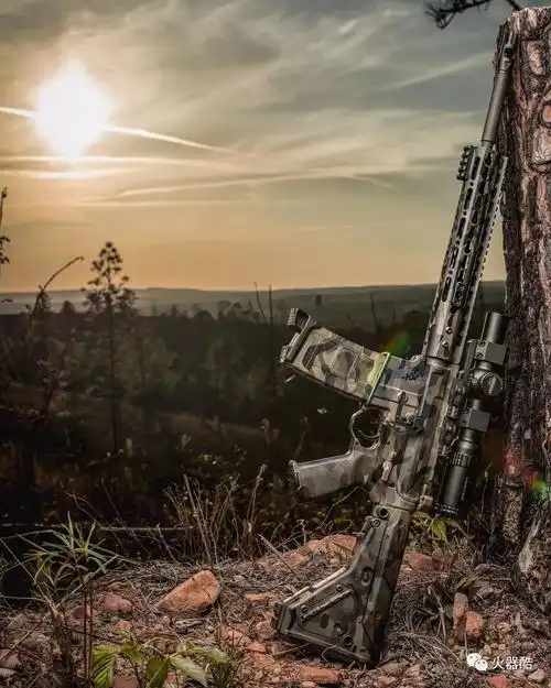 【枪械大图】扣下扳机的一刻 撞击心灵的震颤