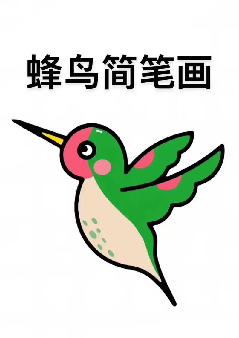 蜂鸟简笔画教程来啦,步骤详细,简单易学#简笔画#儿童简笔画# - 抖音