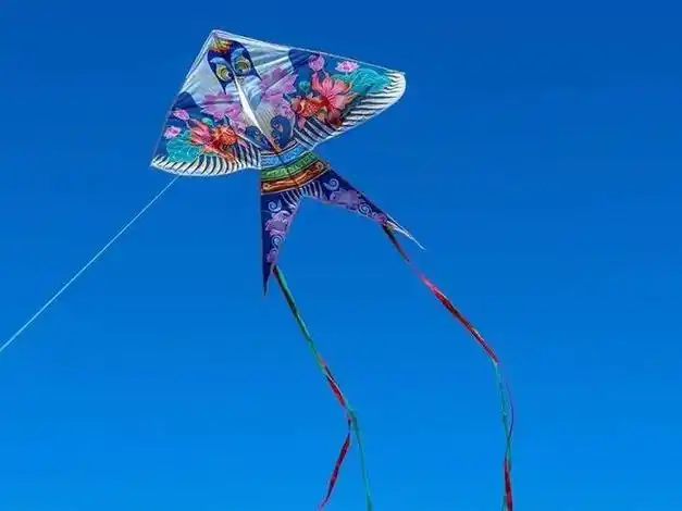 心理测试:你觉得哪1种风筝最好看,测你受的伤害有多深?