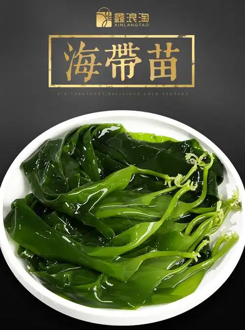 5斤霞浦盐渍海带苗新鲜海带芽嫩苗凉拌下酒菜 5斤海带苗(500g*5包)