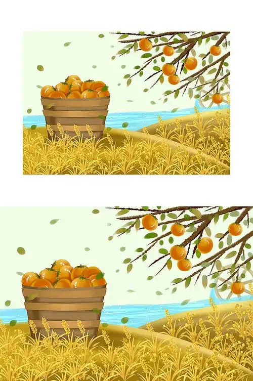 精品手绘柿子丰收插画设计