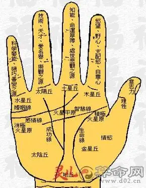 图解:手掌纹路大全