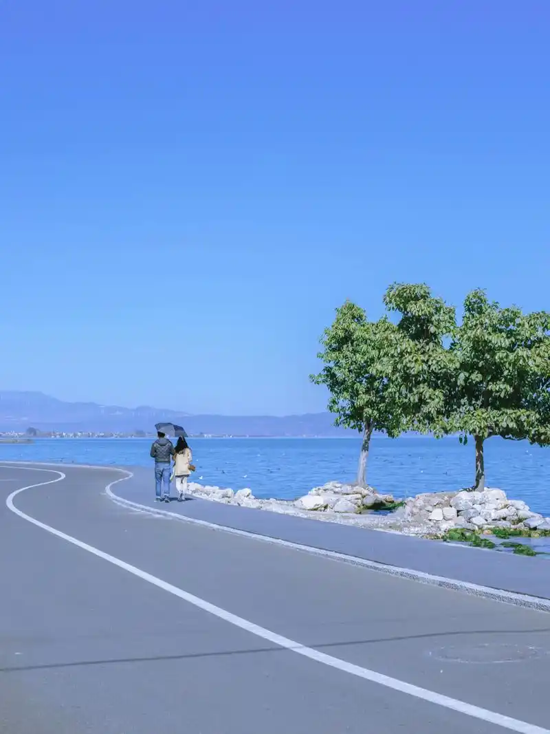 红s弯打卡地,大理小镰仓 去骑行,去拍照,去发呆,艾特你的另一半一起吧