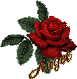 漂亮玫瑰送情人(闪图)