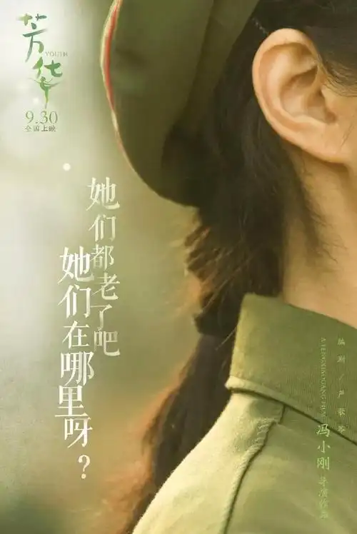电影芳华的海报美哭了