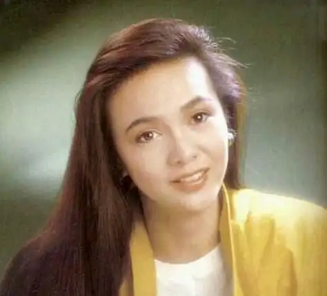 回顾一代女神刘嘉玲,被人欺负却独自隐瞒了12年,梁朝伟不离不弃