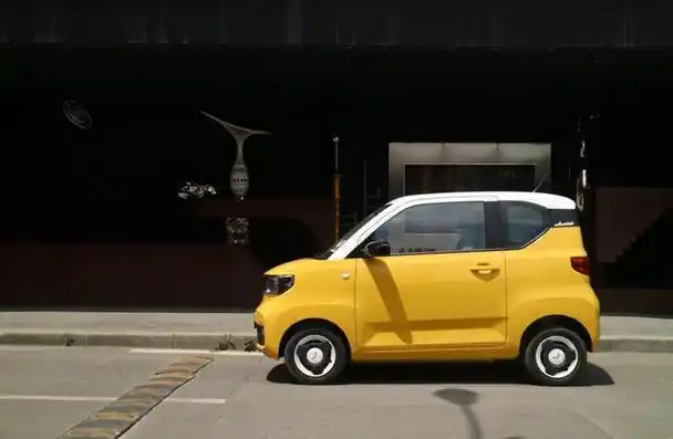 车型最小的微型电动车(4万元的网红小车)(21)
