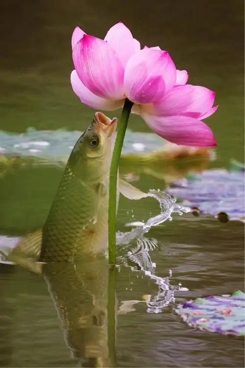 1200_1800竖版 竖屏