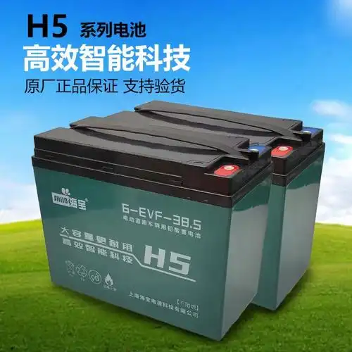 海宝电动车电池超长续航60v 大容量全新正品包邮石墨烯多车型适用