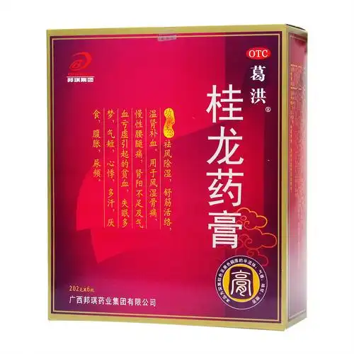 葛洪桂龙药膏202g6瓶祛风除湿舒筋活络风湿骨痛温肾