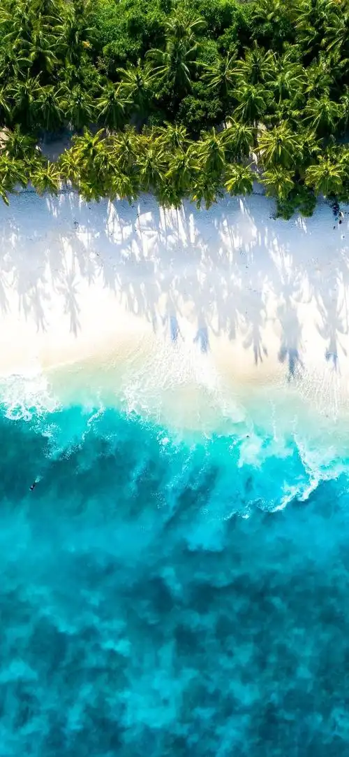 屏l英雄联盟鬼刀不知火舞不良人极简主义2340x1080余颖欣周杰伦林晚儿