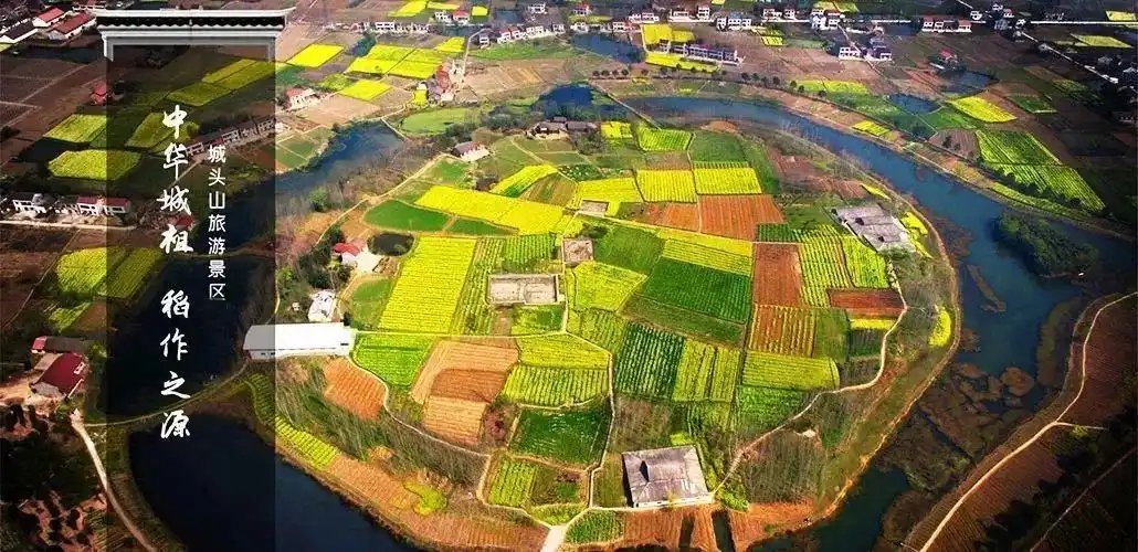 "国家名片"上的澧县城头山