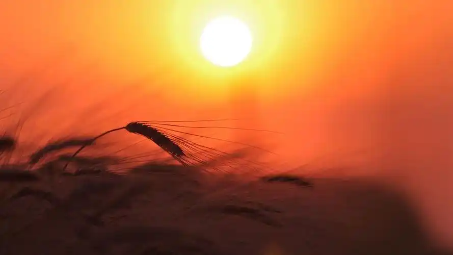 火红的夕阳,美丽的彩霞唯美风景电脑壁纸图片