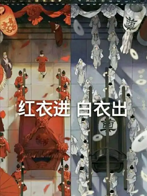 红衣进白衣出始于月老终于孟婆78