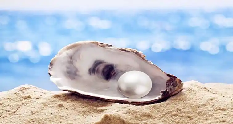 时尚 6-7毫米淡水珍珠珠手链真正巴洛克珍珠手链为妇女