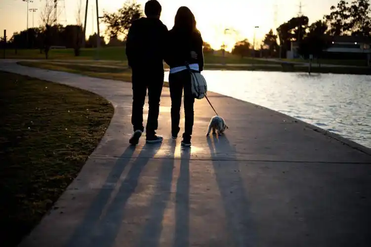 摄影,加利福尼亚,狗链,异性恋,年轻男性,年轻女性,年轻人,夫妇,情侣