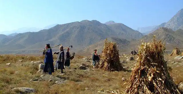 宋代"新农村建设"本想造福于民,为何造成农民起义频发?