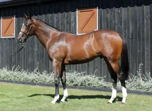 大陆赛马网讯 当地时间6月15日,在澳大利亚墨尔本东南部的帕金顿公园