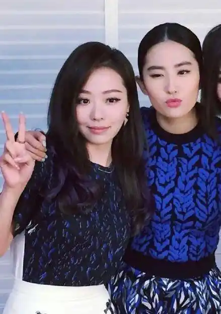 人美歌甜张靓颖分享刘亦菲唱letitgo视频