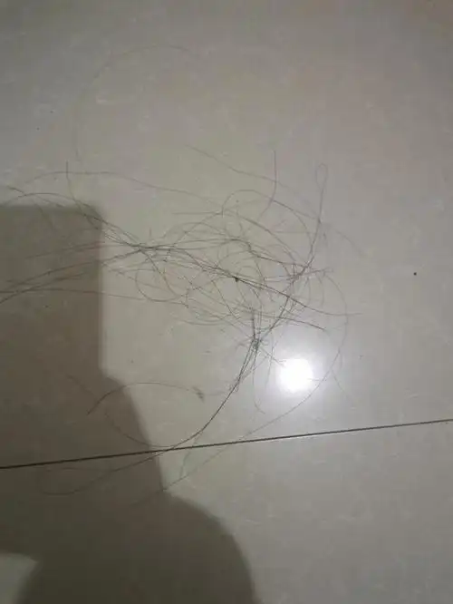 我的头发在我的衣服上,在地板上,在床上,就是不在我的头上0101#掉