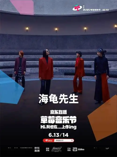 海龟先生乐队成立于2004年12月.