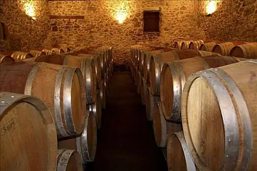 柜子酿酒葡萄,藤蔓不锈钢,桶,工业,酒窖