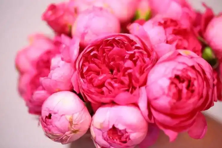 实物比照片好看太多独一无二的古风少女蔻丹