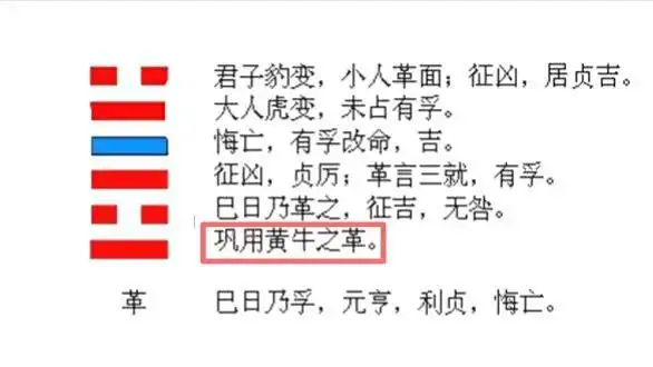 革卦,卦,爻,文字