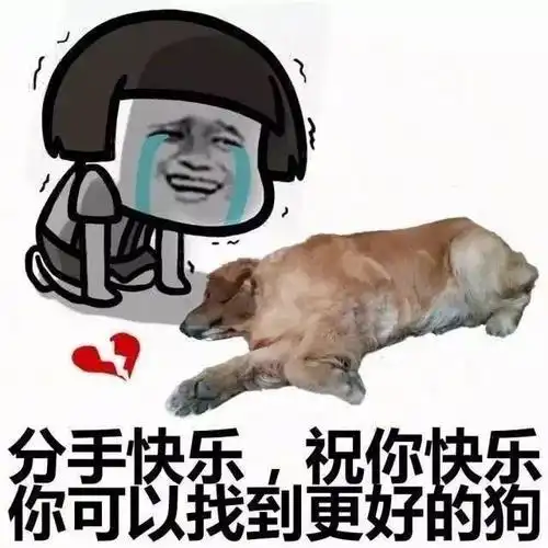 分手快乐,祝你快乐,你可以找到更好的狗